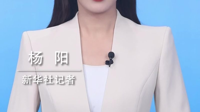 数据服务公司规模评估：关键指标与考量维度
